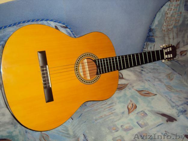 Продаётся  гитара 6-струнная - Изображение #1, Объявление #3015