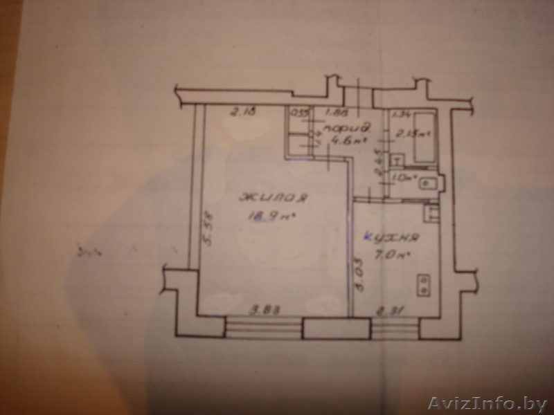 Гомель Центр Кожара - Изображение #1, Объявление #30160