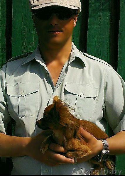 поиск работы Гомель - Изображение #1, Объявление #34071