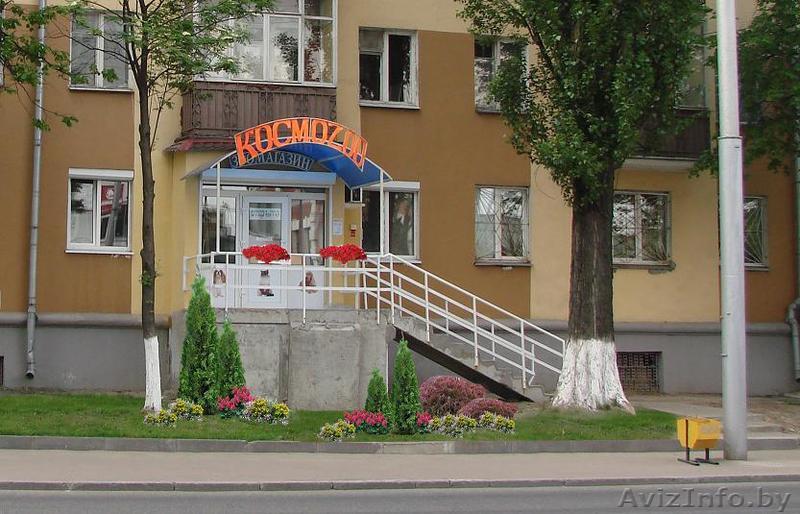 сдаётся а ареду торговое помещение - Изображение #1, Объявление #337503