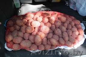 Продам картофель. - Изображение #1, Объявление #649159