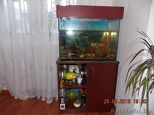 Аквариум с комплектующим - Изображение #1, Объявление #867093