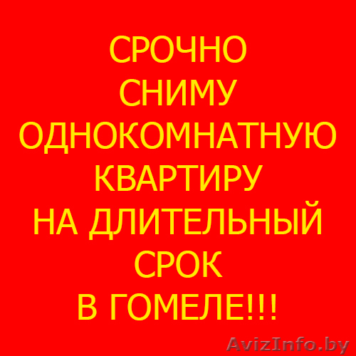Ищу однокомн. кв-ру на длит. срок в Гомеле - Изображение #1, Объявление #1012950