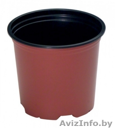 Горшки для рассады - Изображение #1, Объявление #1004759