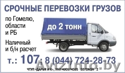 Срочные перевозки грузов по Гомелю - Изображение #1, Объявление #1102962