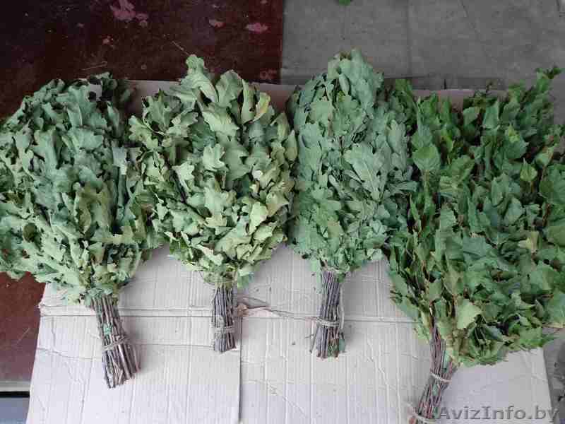 веники банные березовые и дубовые - Изображение #1, Объявление #1143682