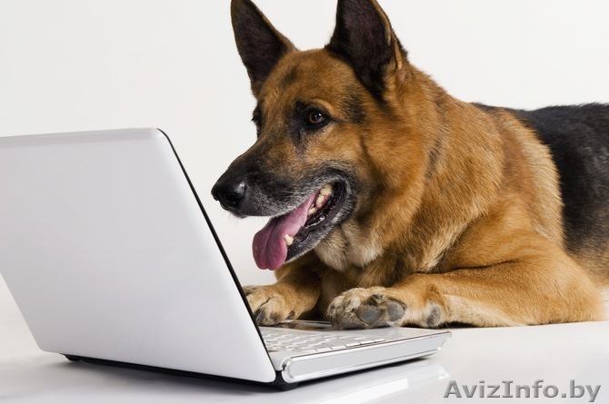 чистка и ремонт комп.техники - Изображение #1, Объявление #1164940