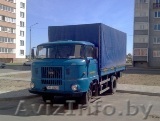 +375(44)5455565 Грузоперевозки до 3 тонн из/в Гомель. Безнал. - Изображение #1, Объявление #1138664