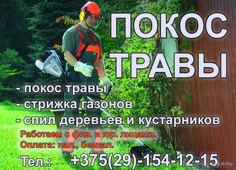 Покос травы, стижка газонов, спил (распил) деревьев - Изображение #1, Объявление #1253312