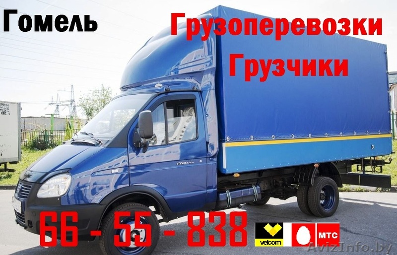 66-55-838 Грузоперевозки ГРУЗЧИКИ Гомель - Изображение #1, Объявление #1331098
