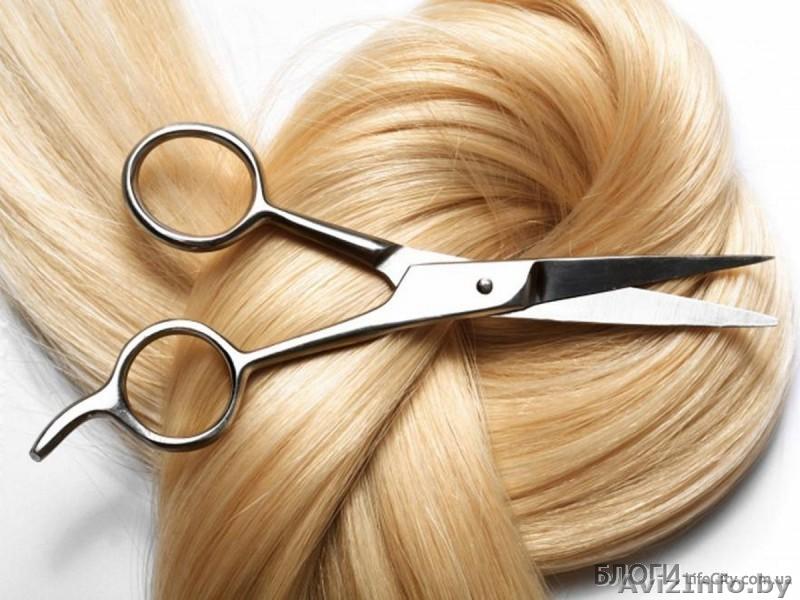 Бесплатные стрижки - Изображение #1, Объявление #1517156