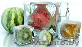 Окажем услугу грузоперевозки рефрижераторами - Изображение #1, Объявление #1514348