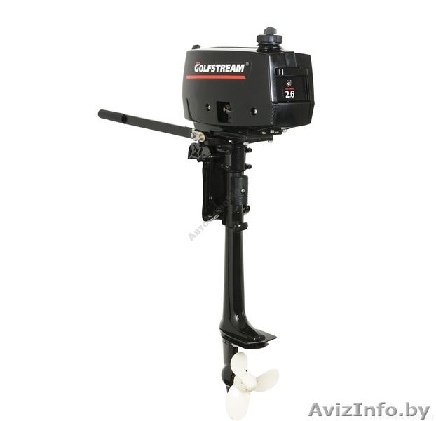 Лодочный мотор Golfstream (Parsun) T2.6CBMS - Изображение #1, Объявление #1519572