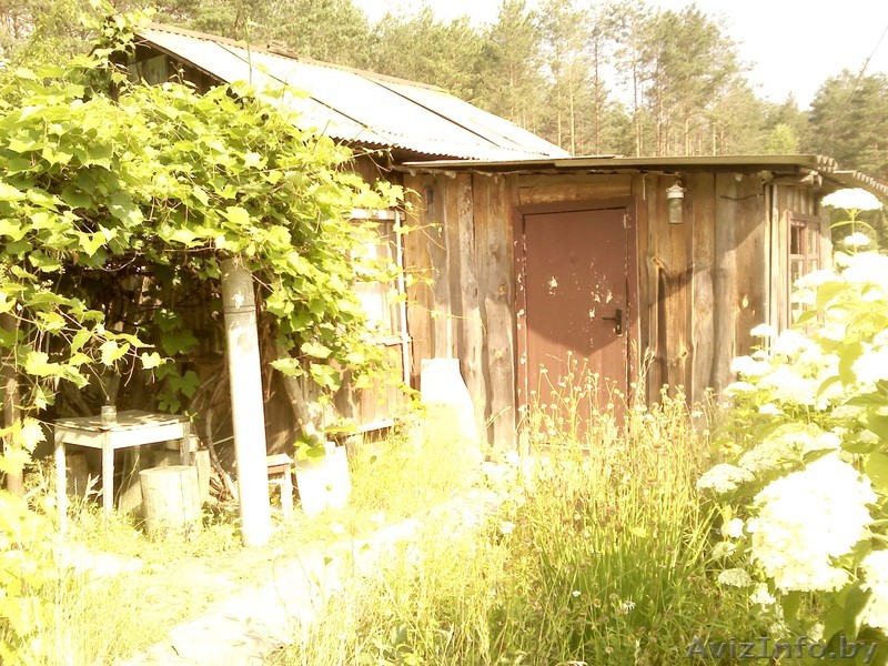 Летний домик с участком. - Изображение #1, Объявление #1583768