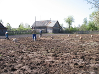 Продается деревенский дом в деревне - Изображение #5, Объявление #38922