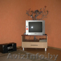 Сдаётся квартира по суткам в городе Гомеле. по суткам - Изображение #2, Объявление #38669