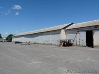 офисные и складские помещения - Изображение #1, Объявление #16176
