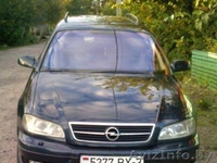 Лупик С А ser-lupik@yandex.ru +375293329761 +375447533931  - Изображение #5, Объявление #84820