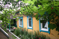 Дом на реке Припять - Изображение #2, Объявление #85451