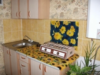 Квартира в центре Гомеле на сутки и более - Изображение #4, Объявление #78711