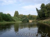 Продаю дом в экологически чистом районе - Изображение #3, Объявление #135059