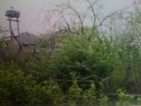 отличный дом с участком 15 соток.Срочно! - Изображение #6, Объявление #180442