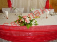 Светлана - профессиональное проведение, муз. сопровождение - Изображение #1, Объявление #186806