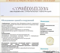 Создание и сопроваждение сайтов, создание презентаций,   разработка дизайна печа - Изображение #1, Объявление #184578