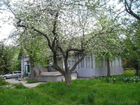 Продам дом в деревне Ивановка речицкого района - Изображение #5, Объявление #221726