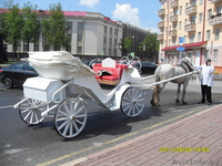 Карета "Фаетон" - Изображение #4, Объявление #203490
