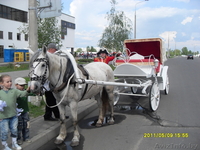 Карета "Фаетон" - Изображение #7, Объявление #203490