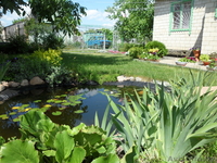 продам уютную дачу для отдыха в 15 км от ГОМЕЛЯ - Изображение #1, Объявление #515805