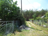 продам уютную дачу для отдыха в 15 км от ГОМЕЛЯ - Изображение #3, Объявление #515805