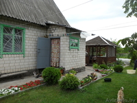 продам уютную дачу для отдыха в 15 км от ГОМЕЛЯ - Изображение #5, Объявление #515805