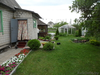 продам ухоженную дачу 15 км от Гомеля - Изображение #5, Объявление #579650