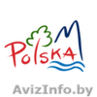 Преподаватель польского языка по Skype - Изображение #2, Объявление #668231