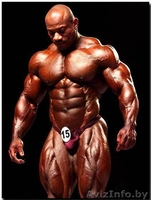 спортивное питание в Гомеле - Изображение #1, Объявление #682958