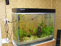 Аквариум под заказ, изделия из стекла. - Изображение #1, Объявление #684708