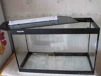 Аквариум под заказ, изделия из стекла. - Изображение #4, Объявление #684708