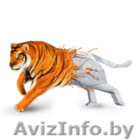 Типография Готовых Решений Тигр - Изображение #1, Объявление #763743