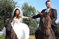 Свадебный фотограф в Гомеле. Свадьба, Love Story, сценарии. - Изображение #3, Объявление #818889