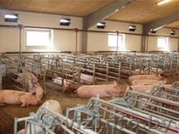 Оборудование для орошения, удаления, транспортировки и переработки навоза - Изображение #10, Объявление #939726