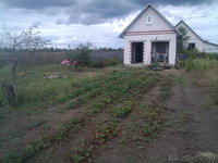 Дача в 16 км от Гомеля - Изображение #3, Объявление #969960