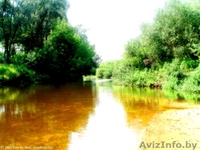 Дача в 16 км от Гомеля - Изображение #8, Объявление #969960