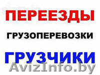 Грузчики и грузоперевозки. - Изображение #2, Объявление #994153