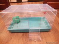 клетка размером 60*35*35 - Изображение #3, Объявление #1005443