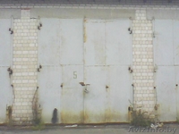 Ворота металлические - Изображение #2, Объявление #1041744