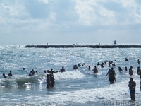 Сдаю комнатьi на берегу маря - Изображение #7, Объявление #1074935