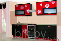 Мебель для кухни Жлобинмебель - Изображение #2, Объявление #1097621