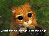 Грузоперевозки по Беларуси и России до 20 тонн. - Изображение #4, Объявление #1143393